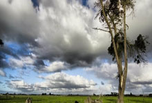 受有双向情感障碍，设计师变模特