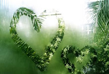 CP 写文素材大揭秘:创意灵感一网打尽