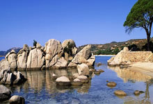 CP 写文素材大揭秘:创意灵感一网打尽