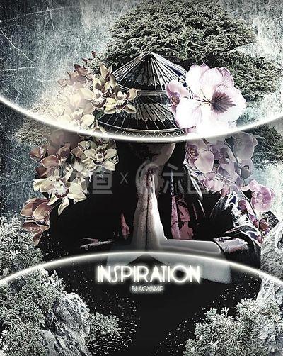 设计灵感照片：捕捉瞬间之美，开启创意无限可能