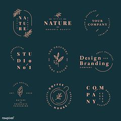 灵感素材网站大揭秘：丰富创意的宝库