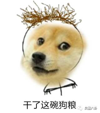 宋慧乔迷弟名单_宋慧乔_宋慧乔嫁给宋仲基