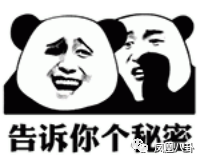 宋慧乔嫁给宋仲基_宋慧乔_宋慧乔迷弟名单