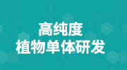孔刘_46岁孔刘魅力不减_孔刘生活造型分析
